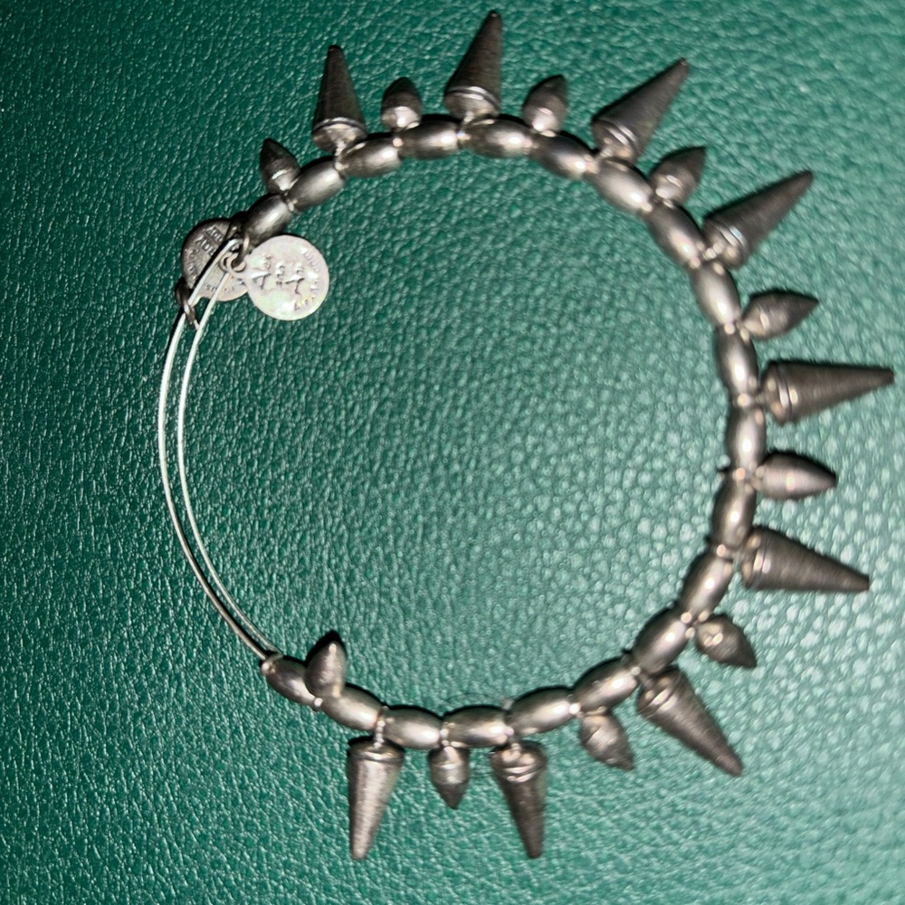 Alex and Ani bracelet